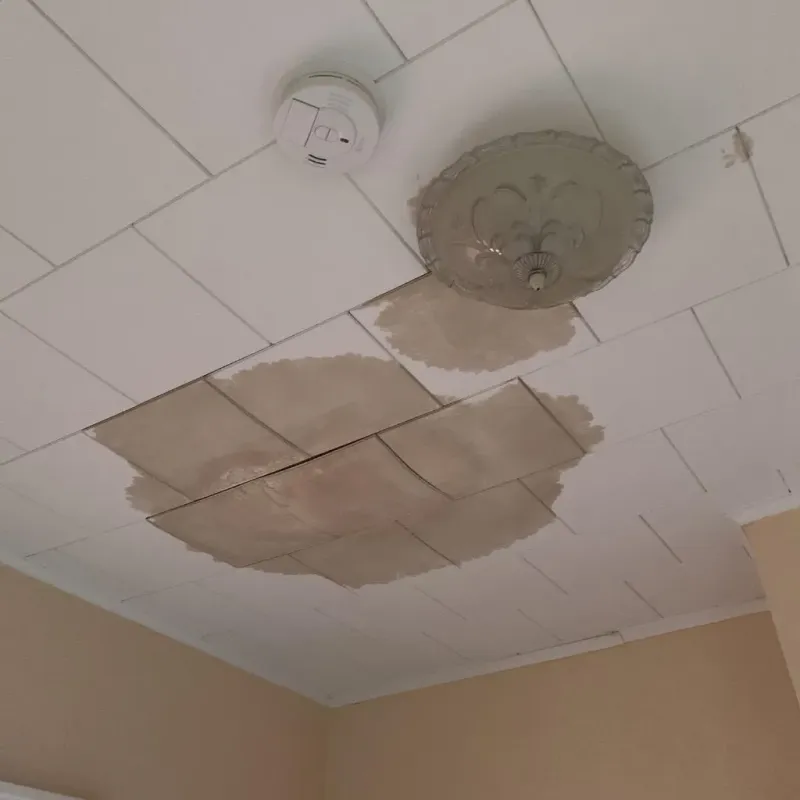 Ceiling Water Damage Repair in Newington, VA