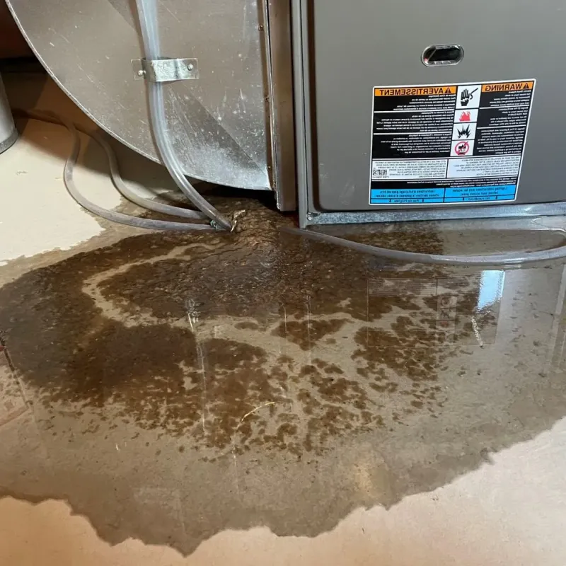 Pipe Burst and Leak Restoration in Newington, VA